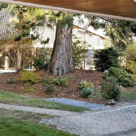 Ferienwohnung Konigsegg Ines Koch ريشِناو المظهر الخارجي الصورة